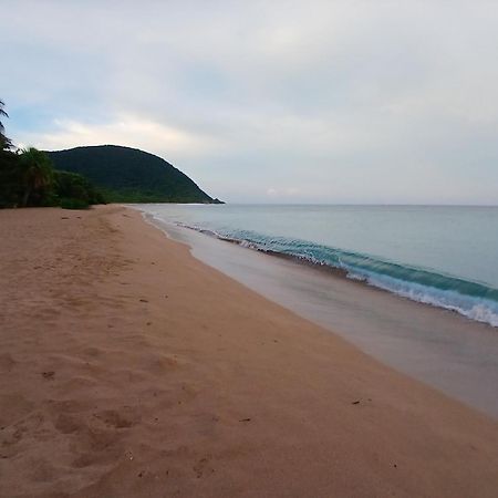 Ecolodges Karet Deshaies Exterior foto